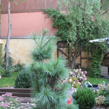 Apartament Mieszkanie W Kamienicy Z Widokiem