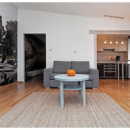 Apartament Mieszkanie W Kamienicy Z Widokiem *